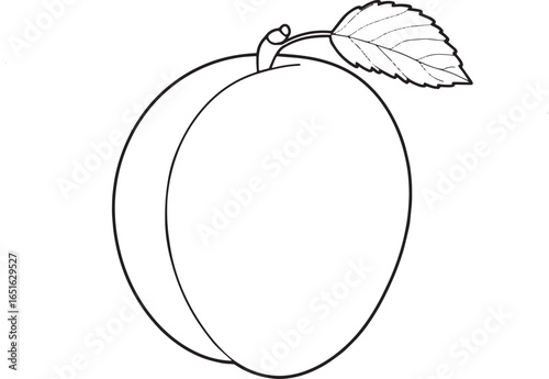Stylized apricot illustration with intricate line art background