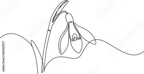 Minimalist snowdrop flower continuous line drawing, springtime 