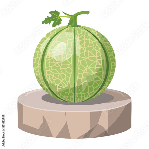 A fresh and perfectly ripe whole cantaloupe on a rustic wooden block - Vector Illustration
