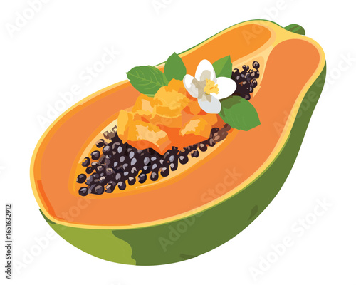 A fresh, ripe papaya half with seeds and a decorative floral accent - Vector Illustration
