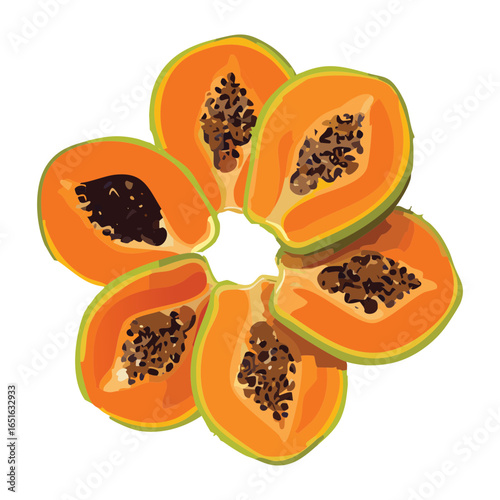 A beautiful flower-like pattern of ripe papaya slices and halves - Vector Illustration
