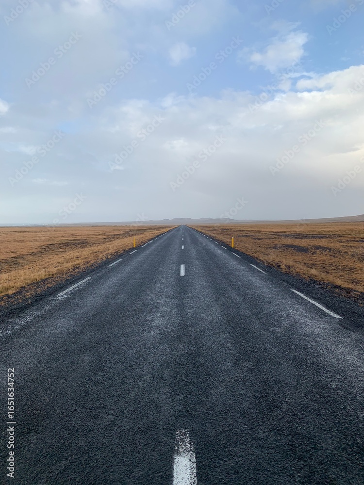 Naklejka premium Scenes from Travel through Remote Iceland