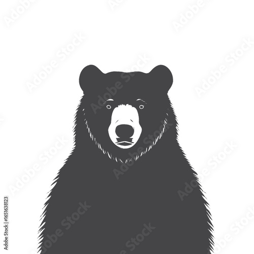 bear vector illustration