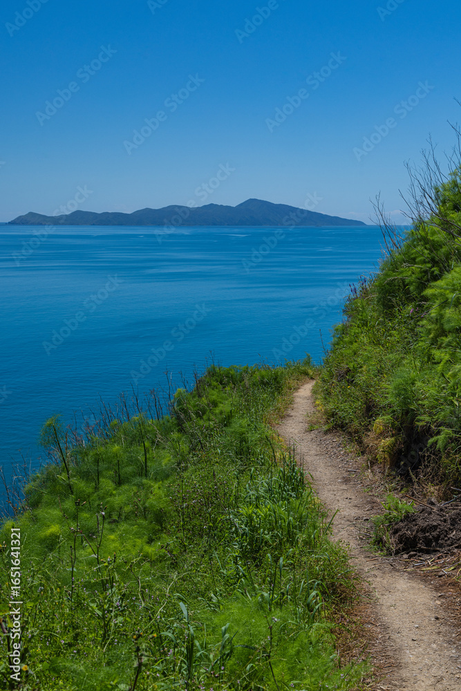 Obraz premium ニュージーランド パエカカリキ・エスカープメント・トラックから見えるカピティ島