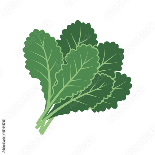 A vibrant green bunch of fresh leafy vegetables, possibly kale or collard greens, tied together.