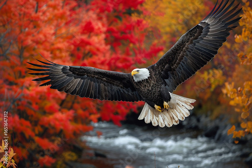 In a breathtaking display of nature, a bald eagle flies majestically above a river bordered by lush autumn leaves in vivid shades of red, orange, and gold.