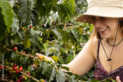 woman picking coffe beans in the garden