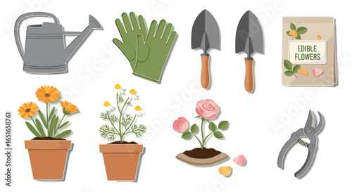 Illustration of various science lab equipment and tools in a cartoon style