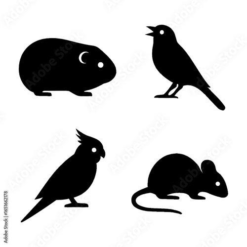 Vocal pet silhouettes featuring guinea pig canary budgerigar and mouse for sound-loving companions