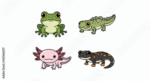 Four cartoon amphibians frog axolotl newt and salamander on a white background