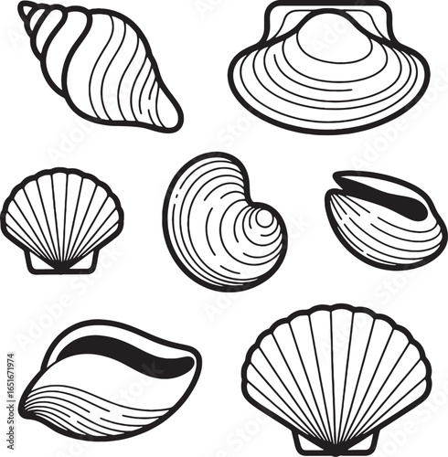 Assortment of seven different seashells and bivalves in a black and white outline drawing mollusk ocean
