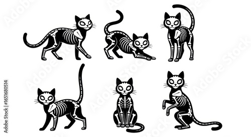 Black Cat Skeletons in Various Poses on White, Halloween Decoration, Spooky Feline