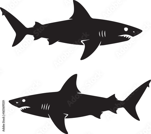 Silhouette of a great white shark swimming with sharp teeth visible