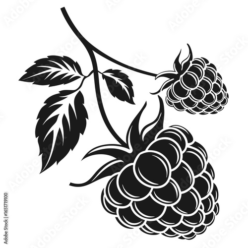 A stylized black and white illustration of two ripe raspberries on a branch with leaves showcasing their textured drupelets and vibrant botanical detail