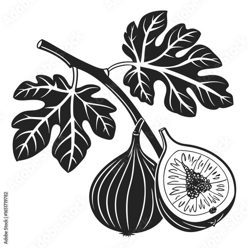 A stylized black and white illustration of a fig branch with two ripe figs one whole and one sliced in half revealing its textured interior and seeds