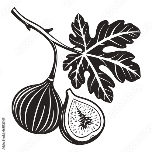 A stylized black and white illustration of a fig branch featuring a whole fig a halved fig revealing its seeds and a large lobed fig leaf