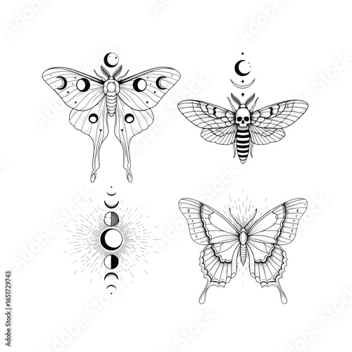 Four stylized moth and butterfly illustrations, featuring celestial elements and lunar phases.