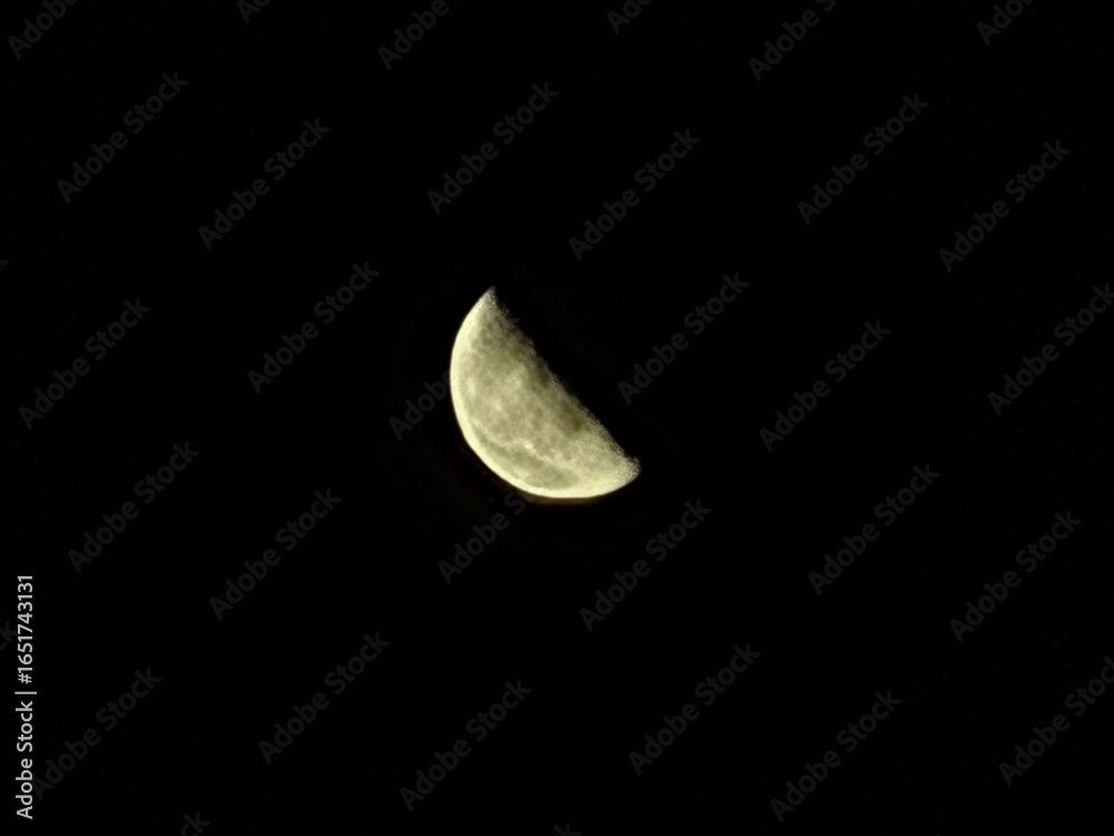 moon moon