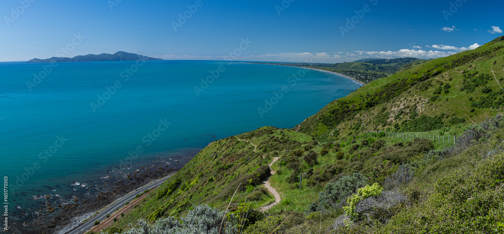 Fototapeta premium ニュージーランド パエカカリキ・エスカープメント・トラックから見えるカピティ島