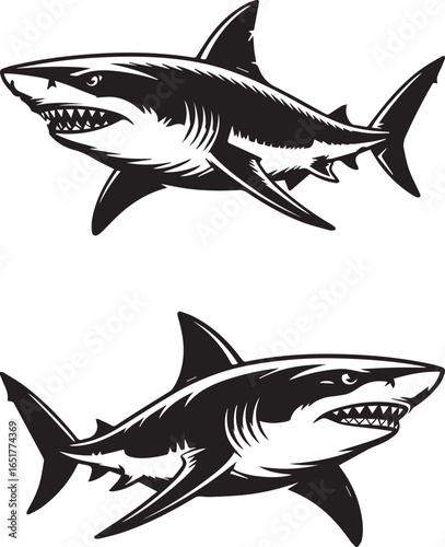 Stylized black and white illustration of a great white shark