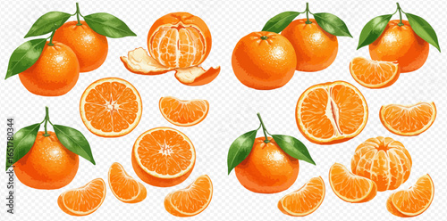 A collection of vibrant orange tangerines, illustrated whole with leaves, peeled, and cut into juicy segments.