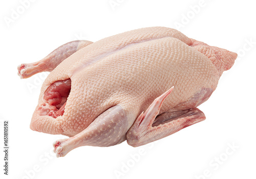 Fresh raw whole duck isolated on transparent background
