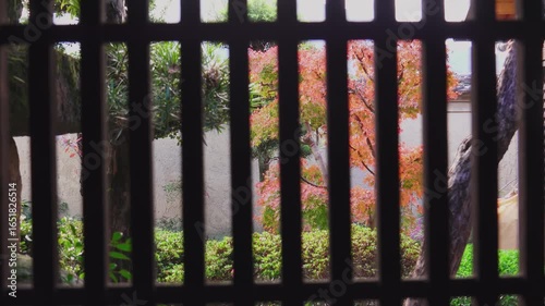 古民家イメージ 格子越しに見える紅葉 - View of Fall Foliage Through Wooden Lattice – Inside a Japanese Kominka

