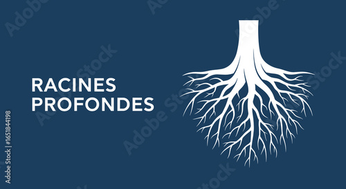 RACINES PROFONDES. Illustration conceptuelle d'un arbre avec un grand système racinaire. Symbole de stabilité, de force et de croissance.