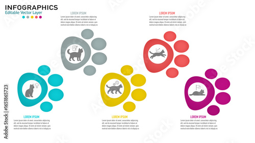 Creative vector infographics with cute cat paw shape, featuring different cat icons, vibrant colors, and editable text boxes for business, education, or presentation purposes.