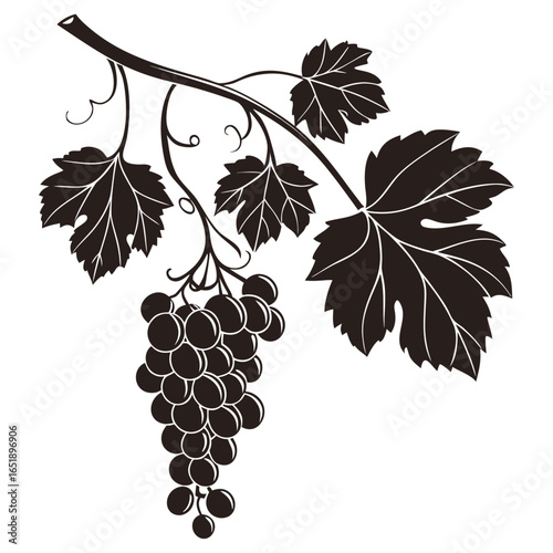 A realistic vector silhouette of a bunch of grapes, filled in black.