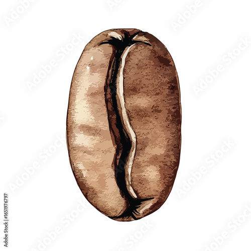 Detailed Illustration of a Single Roasted Coffee Bean with a Deep Crevice