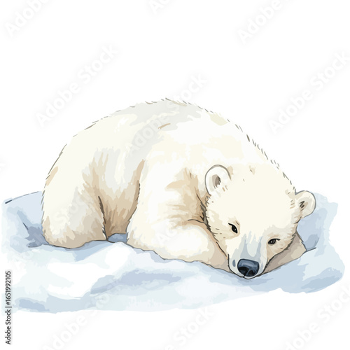 Resting Polar Bear with Watercolor Texture on Ice Floe Illustration