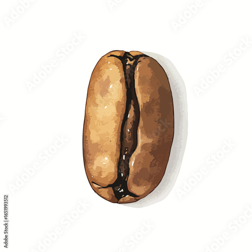 Single coffee bean with a deep crevice and subtle brown hues casting a soft shadow