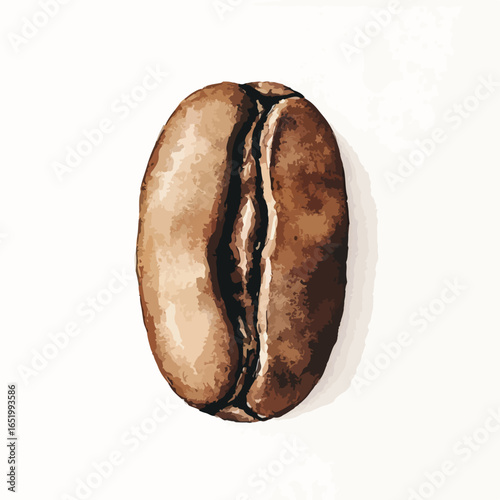 Single coffee bean with a deep crevice and textured surface casting a subtle shadow