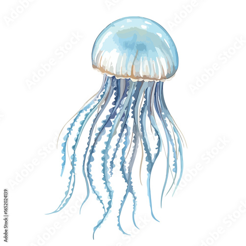 Watercolor depiction of a graceful jellyfish with flowing tentacles and a translucent bell
