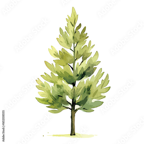 Watercolor Illustration of a Lush Green Detailed Evergreen Tree