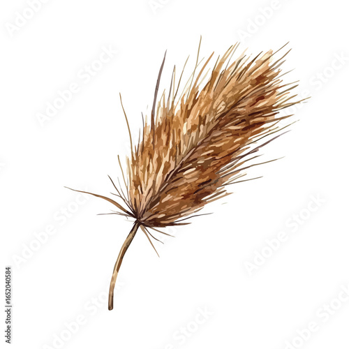 Watercolor illustration of a single wheat stalk with detailed texture and earthy brown tones