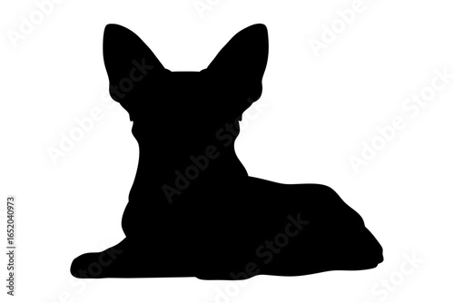 Tiny Chihuahua with Upright Ears, Lying Down Black Silhouette for Dog Breed Design 