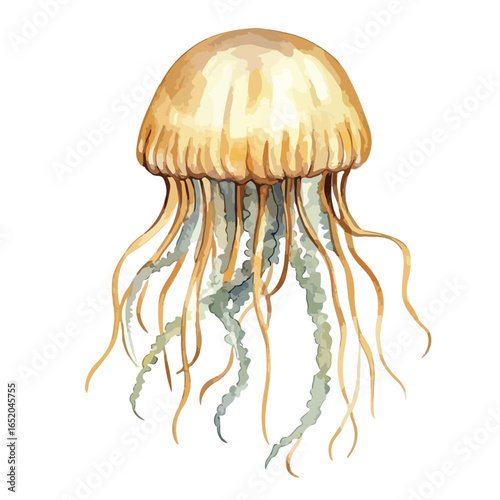 Watercolor Jellyfish Illustration with Flowing Tentacles and GoldenBrown Hue