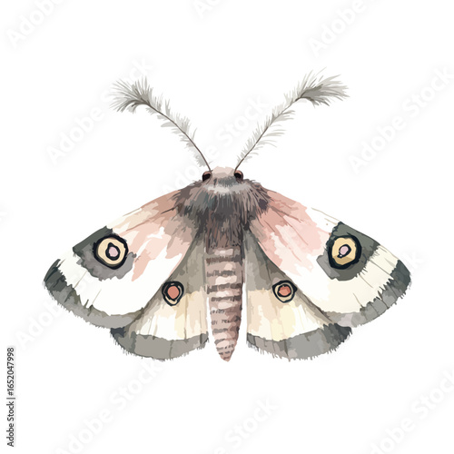 Watercolor Moth with Detailed Wing Patterns and Feathery Antennae