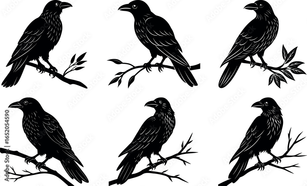 Obraz premium Silhouette Illustration of Six Crows Perched on Branches