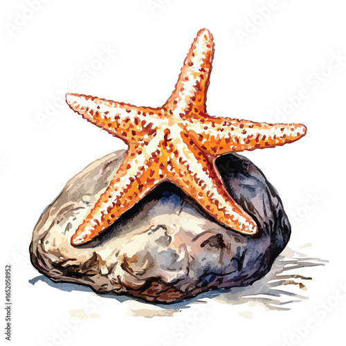 Watercolor Starfish Perched Upon a Textured Mottled Stone Formation