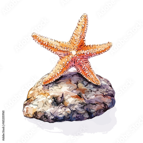Watercolor Starfish Resting on a Textured Rock Formation Coastal Still Life