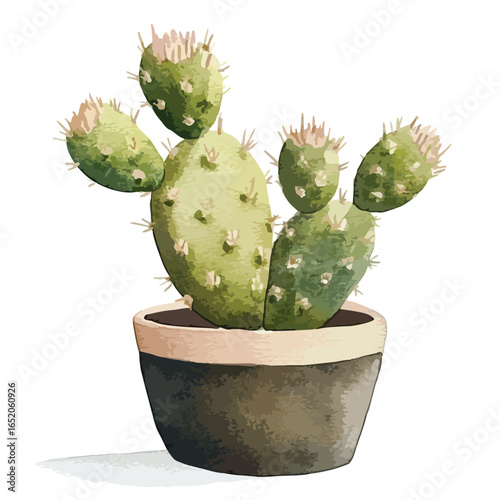 Watercolor Style Cactus with Buds in a Textured Pot Cast Shadow