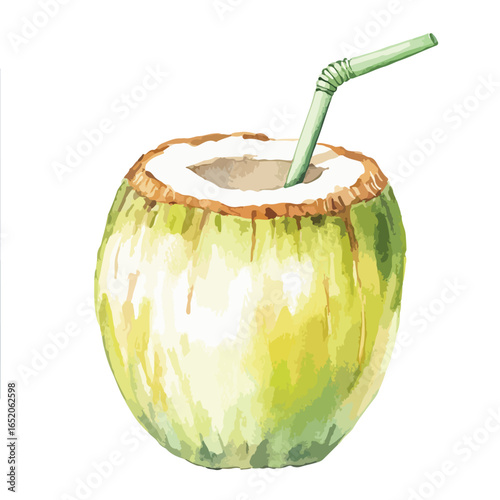 Watercolor Style Green Coconut with Straw Fresh Tropical Drink Illustration