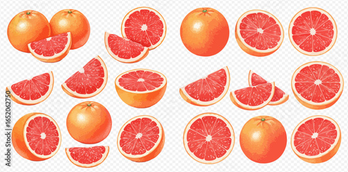 A vibrant illustrated set of fresh red grapefruits, showing whole fruits, juicy halves, and sliced wedges on a transparent background.