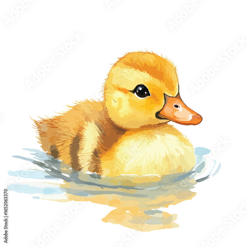Watercolor style illustration of a fluffy yellow duckling swimming in blue water