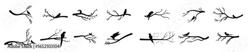 collection of vector illustrations of bird silhouettes