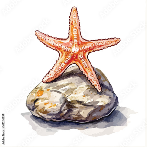 Watercolor style orange starfish resting atop a textured gray and tan rock
