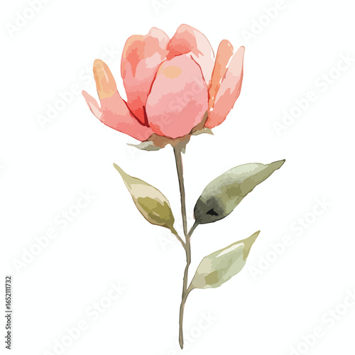 Watercolor style pink flower with green leaves on a slender brown stem